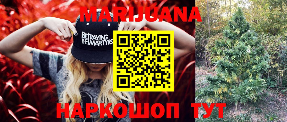 Конопля план Черногорск